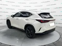 Usata Lexus NX450h+ 309 CV (227 kW) 2026 Bianco SUV