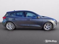 Usata Ford Focus Business Edition 125 CV (91 kW) 2020 Grigio Utilitaria