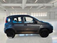 Usata Fiat Panda 4x4 Wild 85 CV (62 kW) 2021 Grigio Utilitaria