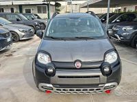 Usata Fiat Panda Cross Cross 85 CV (62 kW) 2020 Grigio Utilitaria