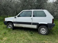 Usata Fiat Panda 4x4 Trekking 54 CV (39 kW) 1999 Bianco Utilitaria