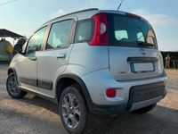 Usata Fiat Panda 4x4 95 CV (69 kW) 2015 Grigio Utilitaria