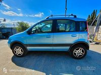 Usata Fiat Panda 4x4 60 CV (44 kW) 2005 Blu Utilitaria