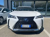 Usata Lexus UX 250h Business Edition 145 CV (106 kW) 2021 Bianco SUV