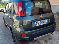 Usata Fiat Panda 4x4 Wild 86 CV (63 kW) 2019 Verde Utilitaria