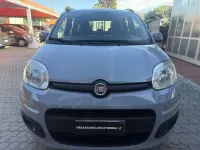 Usata Fiat Panda Lounge 71 CV (52 kW) 2020 Pastello Utilitaria