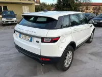Usata Land Rover Range Rover evoque SE 150 CV (110 kW) 2017 Bianco SUV