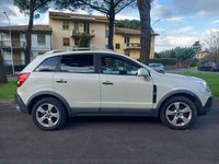 Usata Opel Antara Cosmo 150 CV (110 kW) 2010 Bianco SUV