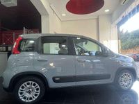Usata Fiat Panda 69 CV (50 kW) 2022 Utilitaria