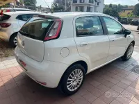 Usata Fiat Punto Young 77 CV (56 kW) 2014 Bianco Utilitaria