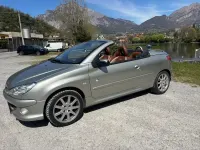 Usata Peugeot 206 CC Roland Garros 109 CV (80 kW) 2008 Grigio Cabrio