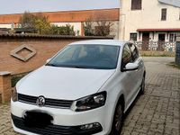 Usata VW Polo 2017 Bianco Utilitaria