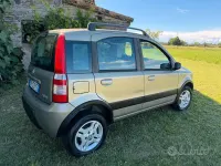 Usata Fiat Panda Climbing 51 CV (37 kW) 2008 Marrone Utilitaria