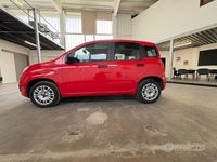 Usata Fiat Panda Easy 69 CV (50 kW) 2019 Rosso Utilitaria