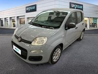 Usata Fiat Panda S 70 CV (51 kW) 2021 Grigio Utilitaria