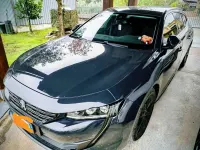 Usata Peugeot 508 Business-Line 131 CV (96 kW) 2020 Grigio Station wagon