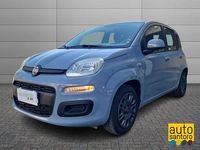 Usata Fiat Panda Easy 95 CV (69 kW) 2017 Grigio Utilitaria