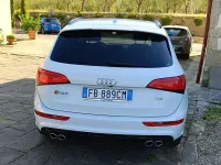 Usata Audi SQ5 313 CV (230 kW) 2015 Bianco SUV