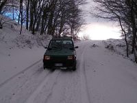 Usata Fiat Panda 4x4 Trekking 54 CV (39 kW) 1999 Verde Utilitaria