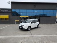 Usata Fiat Panda Comfort 69 CV (50 kW) 2023 Bianco / pastello Utilitaria