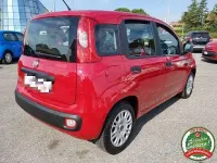 Usata Fiat Panda Lounge 69 CV (50 kW) 2016 Rosso Utilitaria