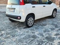 Usata Fiat Panda 85 CV (62 kW) 2013 Bianco Utilitaria