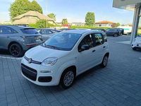 Nuova Fiat Panda Icon 69 CV (50 kW) 2025 Bianco Utilitaria
