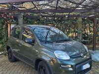 Usata Fiat Panda 4x4 84 CV (61 kW) 2019 Verde Utilitaria