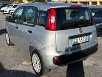 Usata Fiat Panda Easy 69 CV (50 kW) 2018 Argento Utilitaria
