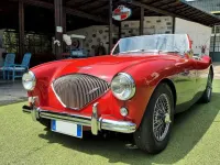 Usata Austin Healey 100 90 CV (66 kW) 1954 Rosso Cabrio