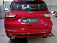 usata Ford Kuga Kuga2.0 ecoblue mhev ST-Line X 2wd 150cv