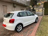 usata VW Polo 5p 1.2 tdi Comfortline