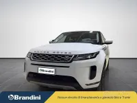 Usata Land Rover Range Rover evoque S 163 CV (119 kW) 2021 Bianco SUV