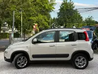 Usata Fiat Panda 4x4 S 75 CV (55 kW) 2013 Grigio Utilitaria