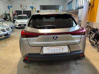 usata Lexus UX UX 250h Luxury250h HEV