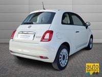Usata Fiat 500 Dolcevita 69 CV (50 kW) 2023 Bianco Berlina