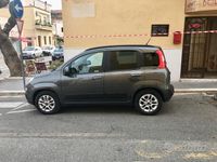 Usata Fiat Panda Lounge 69 CV (50 kW) 2017 Grigio Utilitaria