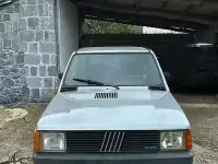Usata Fiat Panda 4x4 1985 Grigio Utilitaria