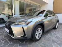 Usata Lexus UX Business Edition 145 CV (106 kW) 2021 Sonic titanium SUV