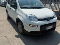 Usata Fiat Panda S 69 CV (50 kW) 2023 Bianco Utilitaria