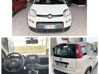 Usata Fiat Panda 69 CV (50 kW) 2023 Bianco gelato Utilitaria