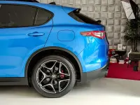 Usata Alfa Romeo Stelvio Ti 209 CV (153 kW) 2020 Blu/azzurro SUV
