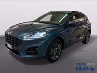Usata Ford Kuga ST-Line X 225 CV (165 kW) 2023 Grigio SUV