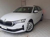 Usata Skoda Octavia Selection 150 CV (110 kW) 2024 Bianco Station wagon