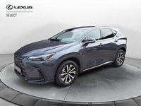 Usata Lexus NX300h 243 CV (178 kW) 2022 Grigio SUV