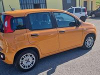 Usata Fiat Panda Easy 69 CV (50 kW) 2020 Other Utilitaria