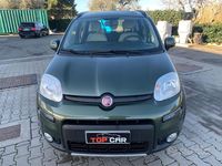 Usata Fiat Panda 4x4 S 74 CV (54 kW) 2014 Verde Utilitaria