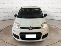 Nuova Fiat Panda S 69 CV (50 kW) 2025 Bianco Berlina