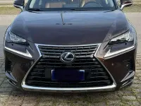 Usata Lexus NX300h E-FOUR Luxury Line 197 CV (144 kW) 2020 Marrone SUV