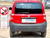 Usata Fiat Panda Active 75 CV (55 kW) 2012 Rosso Furgone